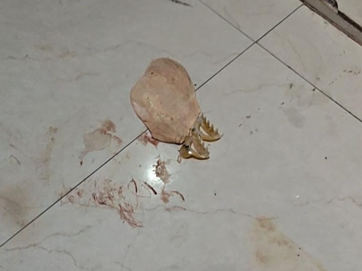 Sonam was cooking food in the kitchen, during which Deepak strangled her from behind. The roti in Sonam's hand also fell on the floor.