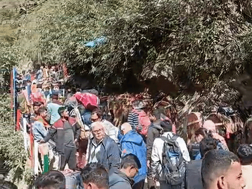 केदारनाथ मार्गावर भाविकांची गर्दी वाढली आहे.