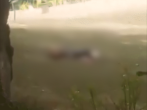 22 अप्रैल 2025 को पहलगाम की बैसरन घाटी में आतंकी हमले के बाद सबसे पहले यही वीडियो वायरल हुआ था। - Dainik Bhaskar