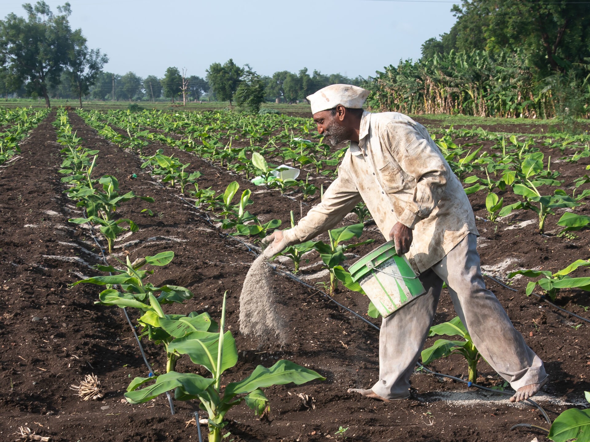 ईरान-जंग की वजह से भारत में उर्वरक उत्पादन 25% घटा:  जानें- प्रोडक्शन घटने के क्या कारण हैं और इसका देश पर क्या असर होगा?