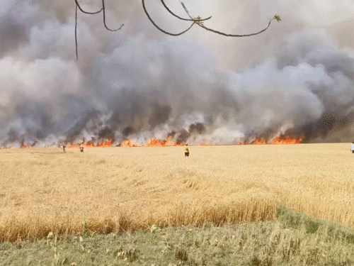 आग का कहर।