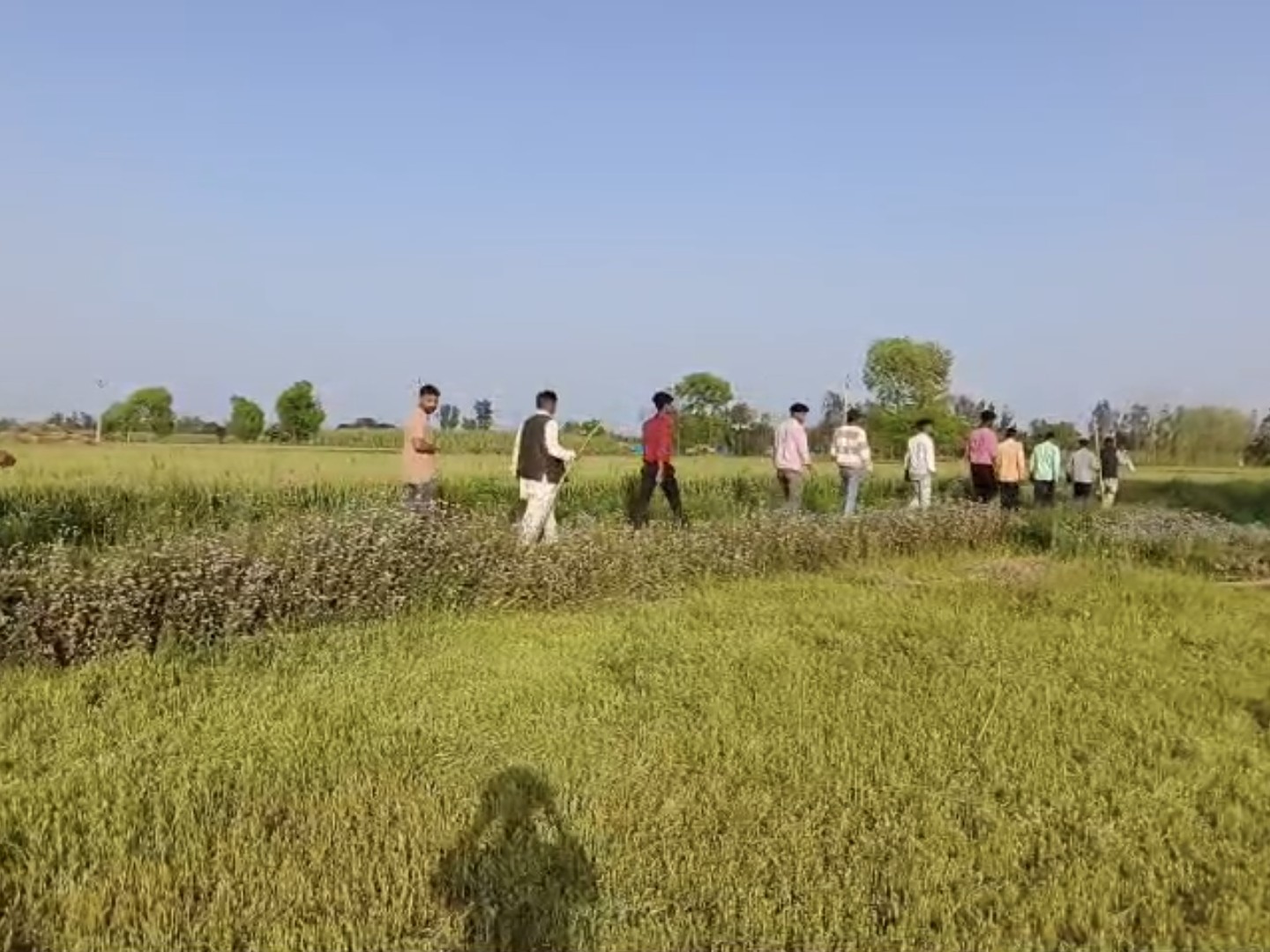 Guldar Running Bijnor Guldar Active | Forest Dept Cages, Awareness Campaign