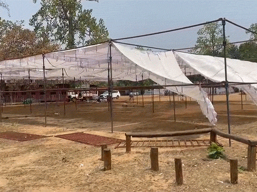 मैदान में टेंट लगाए गए हैं, जहां सचिन तेंदुलकर बच्चों से बातचीत करेंगे।