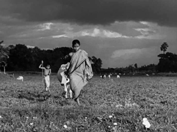 'Pather Panchali' told the story of a poor rural family in Bengal, primarily shown through the eyes of two children, Apu and his elder sister Durga.