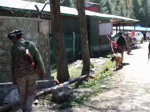जम्मू-कश्मीर पुलिस और CRPF ने स्निफर डॉग स्क्वायड के साथ पहलगाम में गाड़ियों की तलाशी ली।