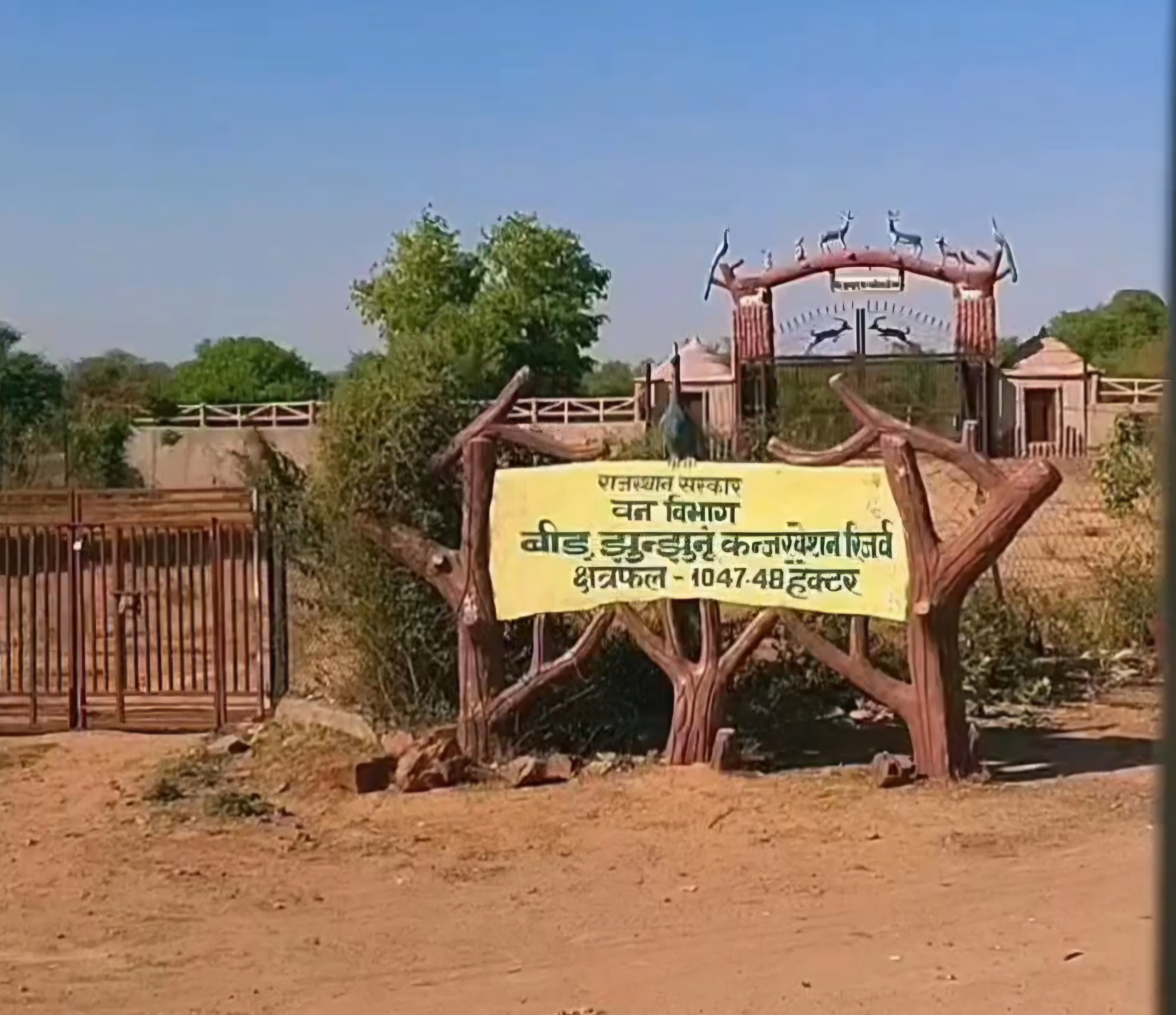 बीड़ झुंझुनू, जहां पर वन विभाग की ओर से नमो नर्सरी तैयार की जाएगी। इसके लिए जमीन भी चिंहित कर ली है।