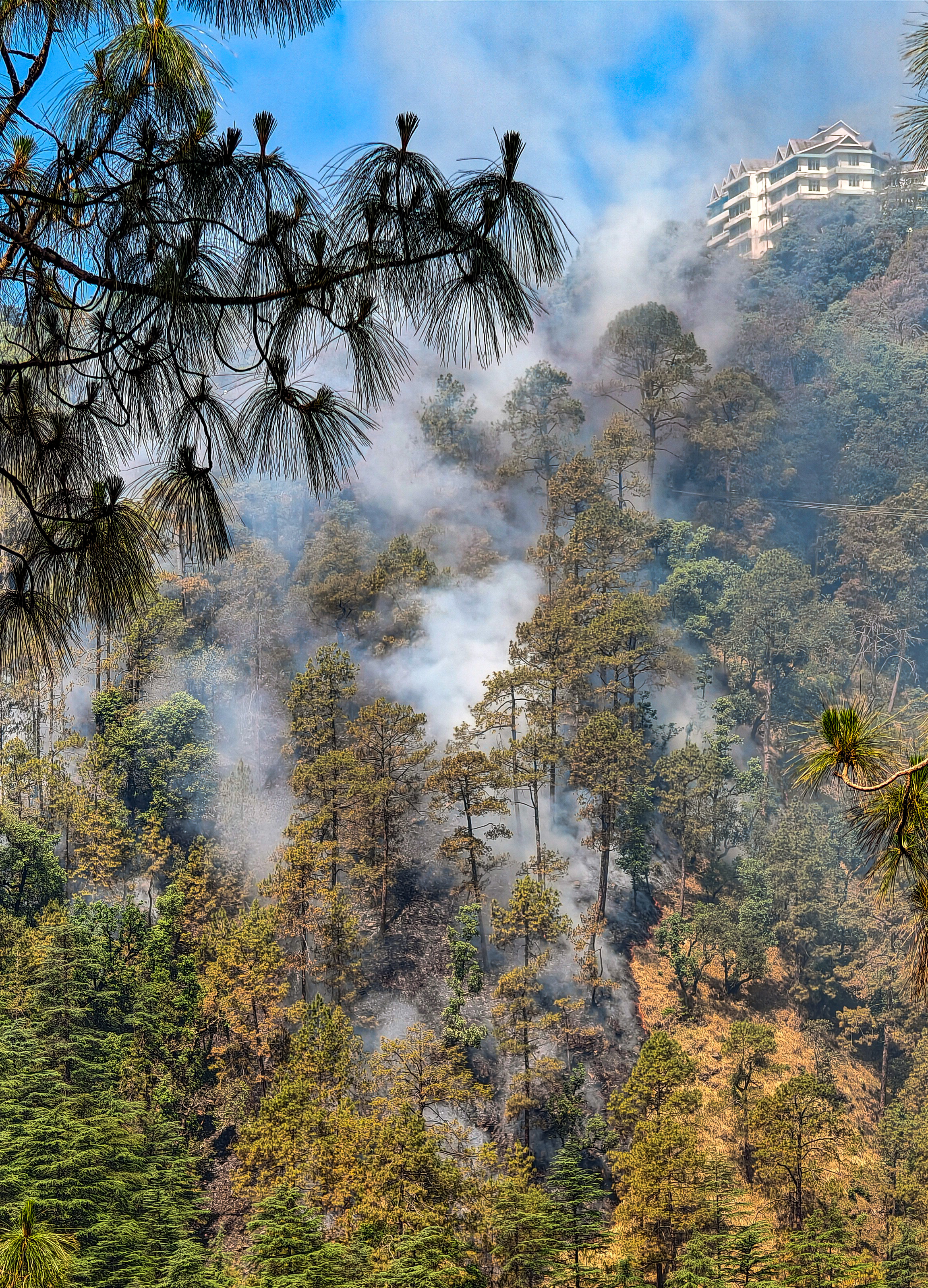 शिमला में गर्मी के बीच ISBT के पास जंगल में आग लगने से धुआं उठता दिखा।
