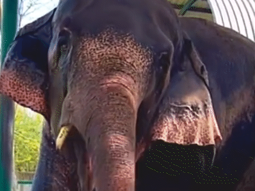 Uttar Pradesh Weather prayagraj hottest City western disturbance up  heatwave alert in 40 districts live update Video