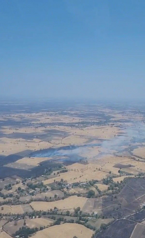 पराली की वजह से खेतों से धुआं निकलता हुआ दिख रहा है।