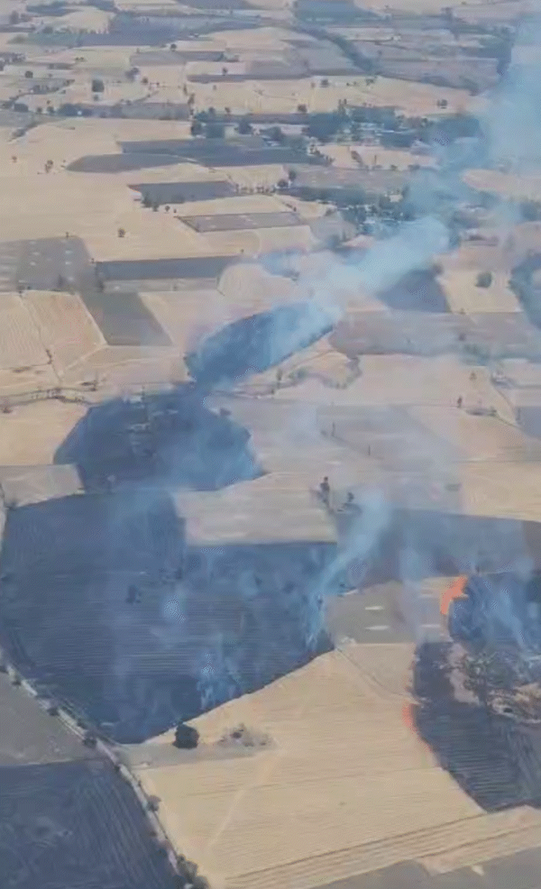 विदिशा के पास खेतों में धधकती आग।