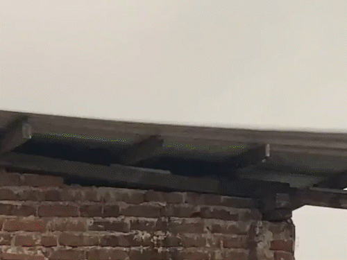 मौसम विभाग ने असम के कई जिलों में अगले 24 घंटे के दौरान 7 से 20 सेमी बारिश की आशंका जताई है। तस्वीर डिब्रूगढ़ की है, यहां शनिवार को तेज आंधी के साथ बारिश हो रही है।