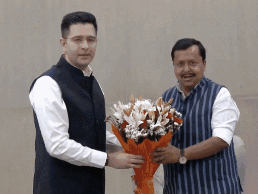 भाजपा अध्यक्ष नितिन नवीन ने राज्यसभा सांसद राघव चड्ढा, संदीप पाठक और अशोक मित्तल को शुक्रवार शाम को भाजपा कार्यालय में पार्टी की सदस्यता दिलाई।