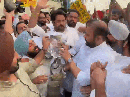 खासदार अशोक मित्तल यांचा फोटो जाळणारे 'आप' कार्यकर्ते.