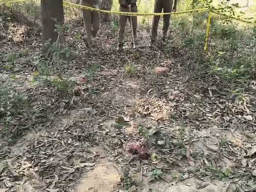 घटना स्थल से ही युवती के अंडर गारमेंट्स और चप्पल मिली है।