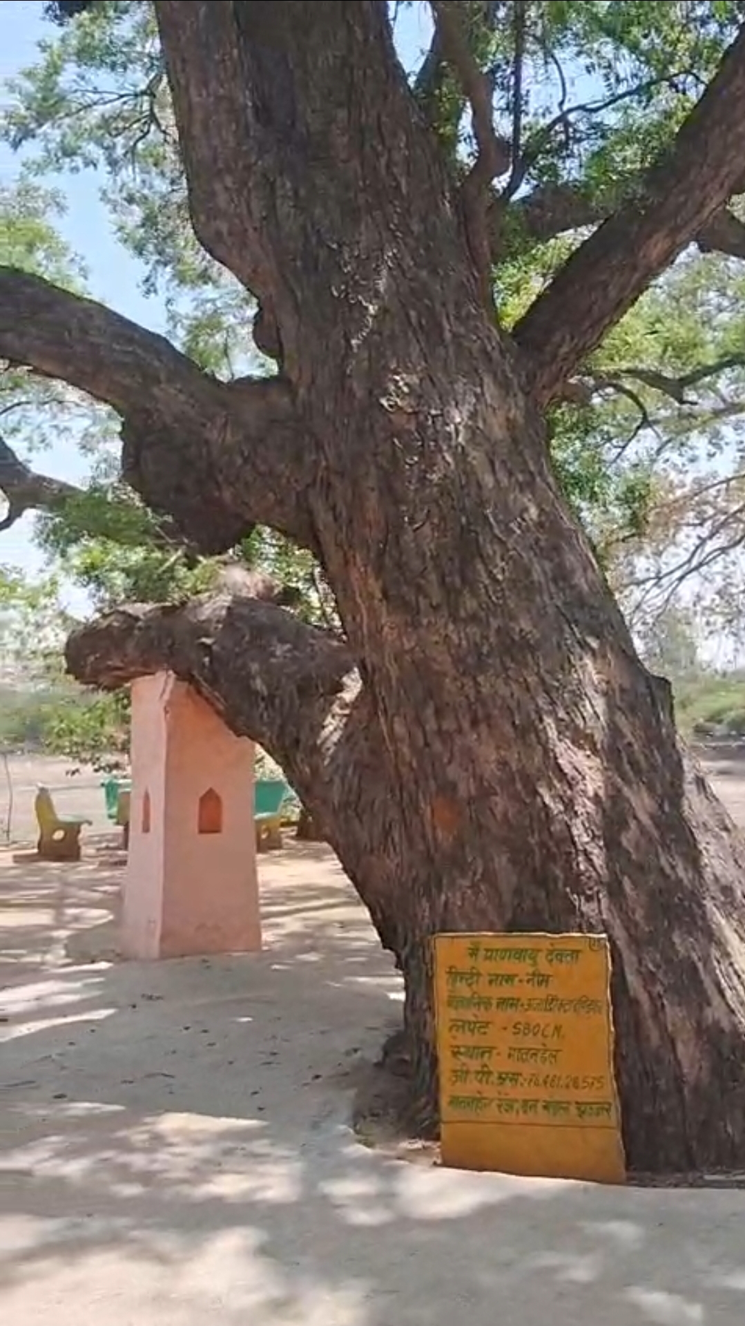 नीम के पेड़ के सामने लिखी पूरी जानकारी।