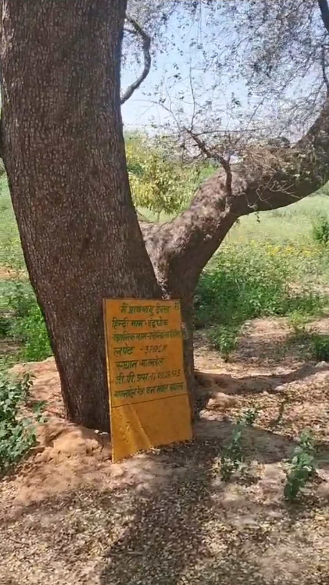 पेंशन के पात्र पेड़ के सामने लिखा नाम।