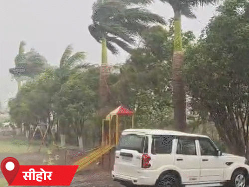 सीहोर के अमलाहा में तेज आंधी तूफान के साथ बारिश हुई।