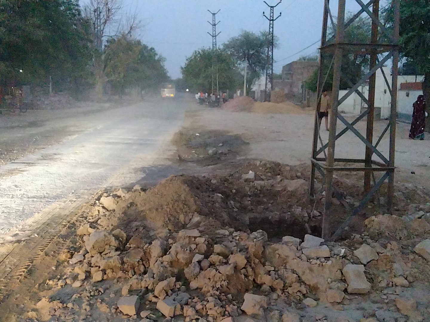 खंभों के लगने से सड़क किनारे लगे नीम और अन्य दर्जनों पेड़ काट दिए।