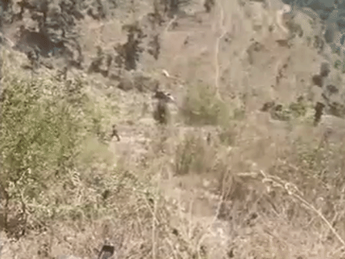 200 मीटर खाई में गिरी बोलेरो।