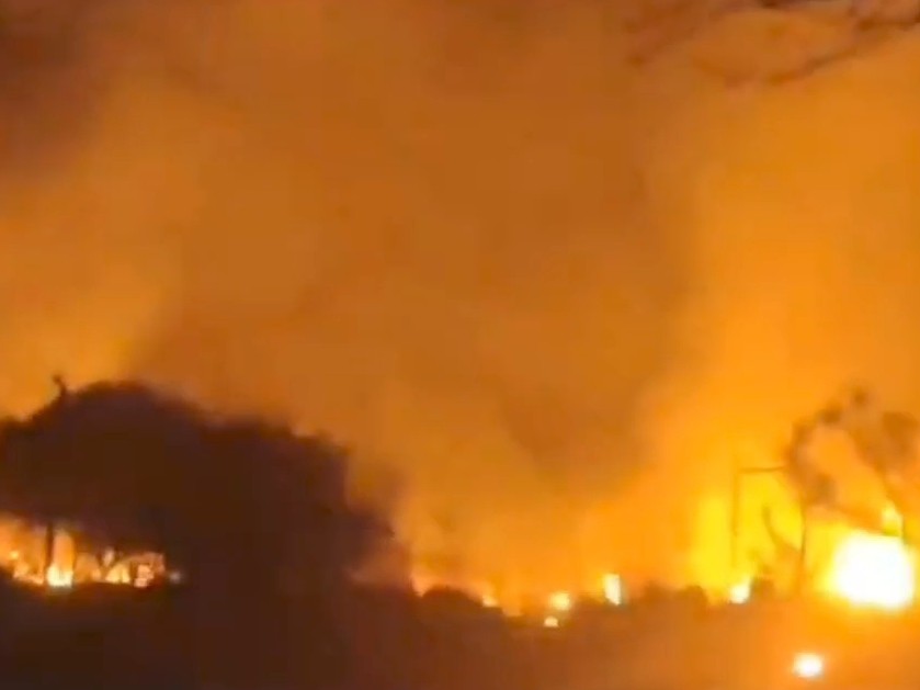 नीमकाथाना के भगेगा गांव के पास वन क्षेत्र में लगी आग से करीब एक हेक्टेयर क्षेत्र में पेड़-पौधे जल गए।