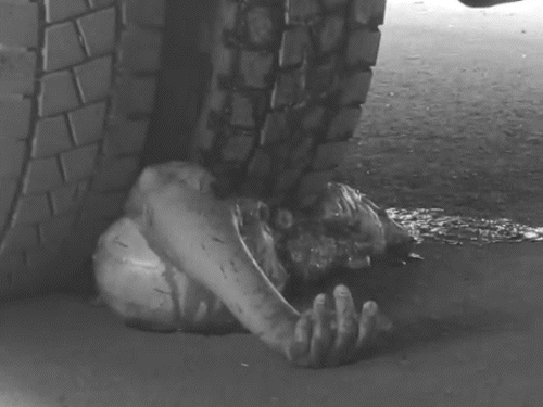 महिला का सिर टायर के बीच फंस गया और पूरी तरह कुचल गया।