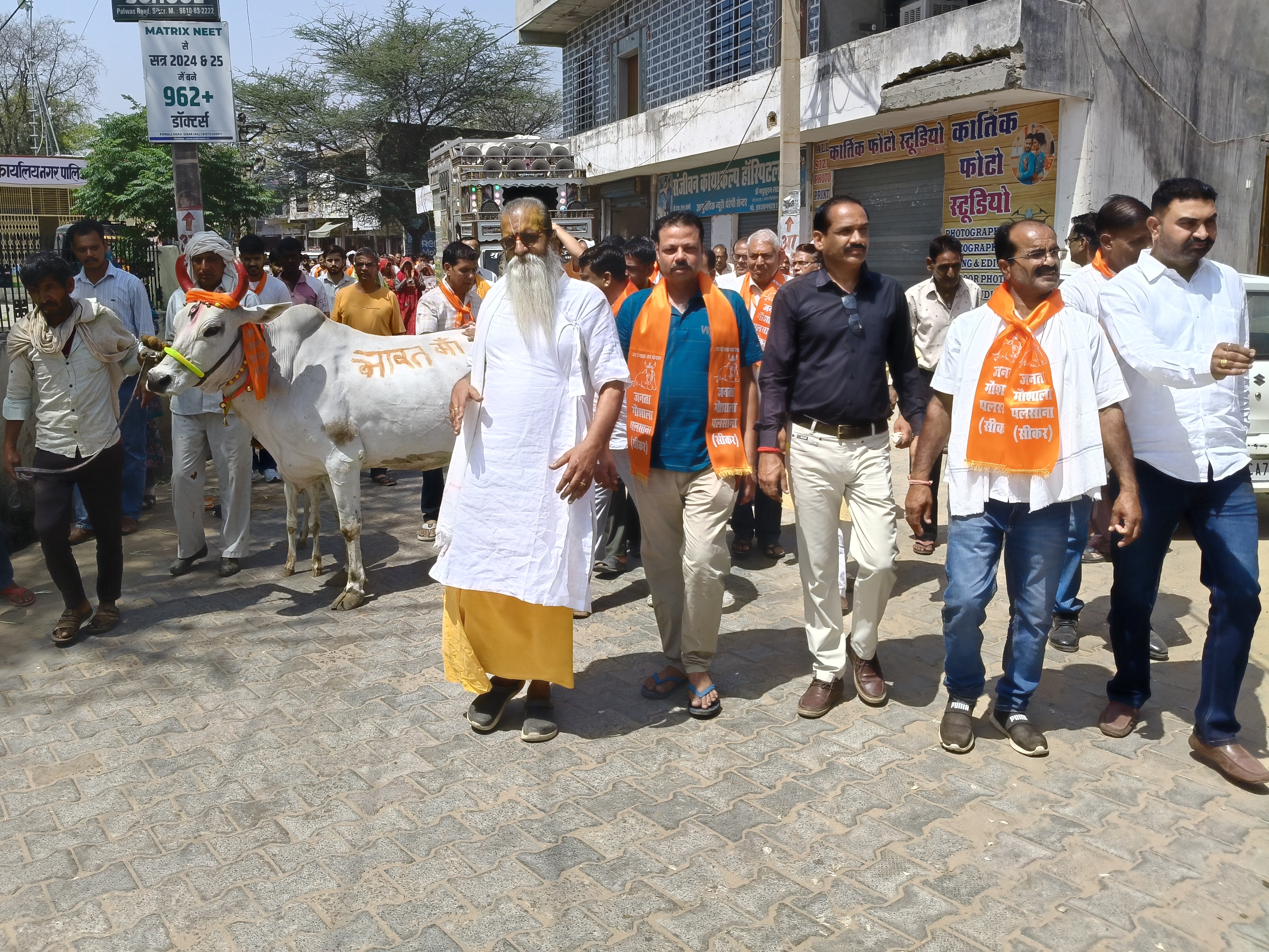 पलसाना कस्बे में गौ सम्मान आह्वान अभियान के तहत एक विशाल गौ सम्मान रैली निकाली गई।