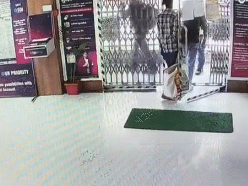 लुटेरे अपने साथ थैला लेकर आए थे।