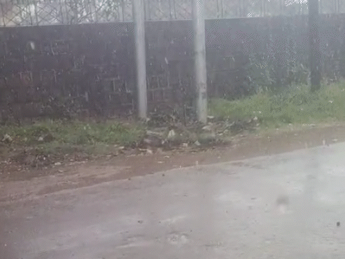 cover17771986111777218722 1777255972