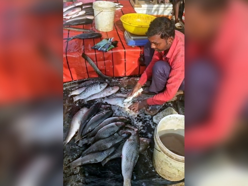 अब डैम से दुकान तक मछली की ढुलाई भी सुविधाजनक हो गई है।