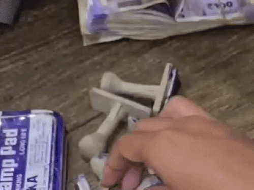 आरोपी द्वारा बनाई गई फर्जी हरियाणा सरकार की मोहर।