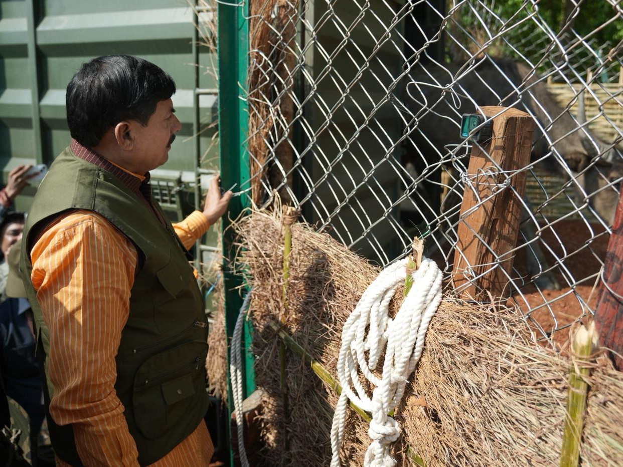 सीएम ने जंगली भैसों को सुपखार रेंज के बाड़े में छोड़ा।