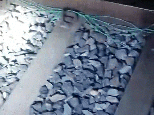 रेलवे ट्रैक पर धमाके की सूचना मिलते ही रात में टीमें जांच के लिए पहुंची थीं। पटरी के साथ में बिछाए गए तार मिले, जिससे संभावना जताई गई कि यहां IED धमाका हुआ है।