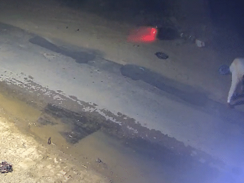 हमलावरों से बचकर भागने के प्रयास में सुरजीत सड़क पर ही गिर गया।