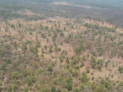 सर्वे में कब्जा की गई जमीन, खेत, कटे हुए पेड़ और उनके ठूंठ साफ नजर आए।