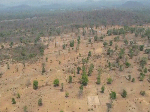 वन विभाग अब अतिक्रमण हटाने की कार्रवाई कर रहा है।