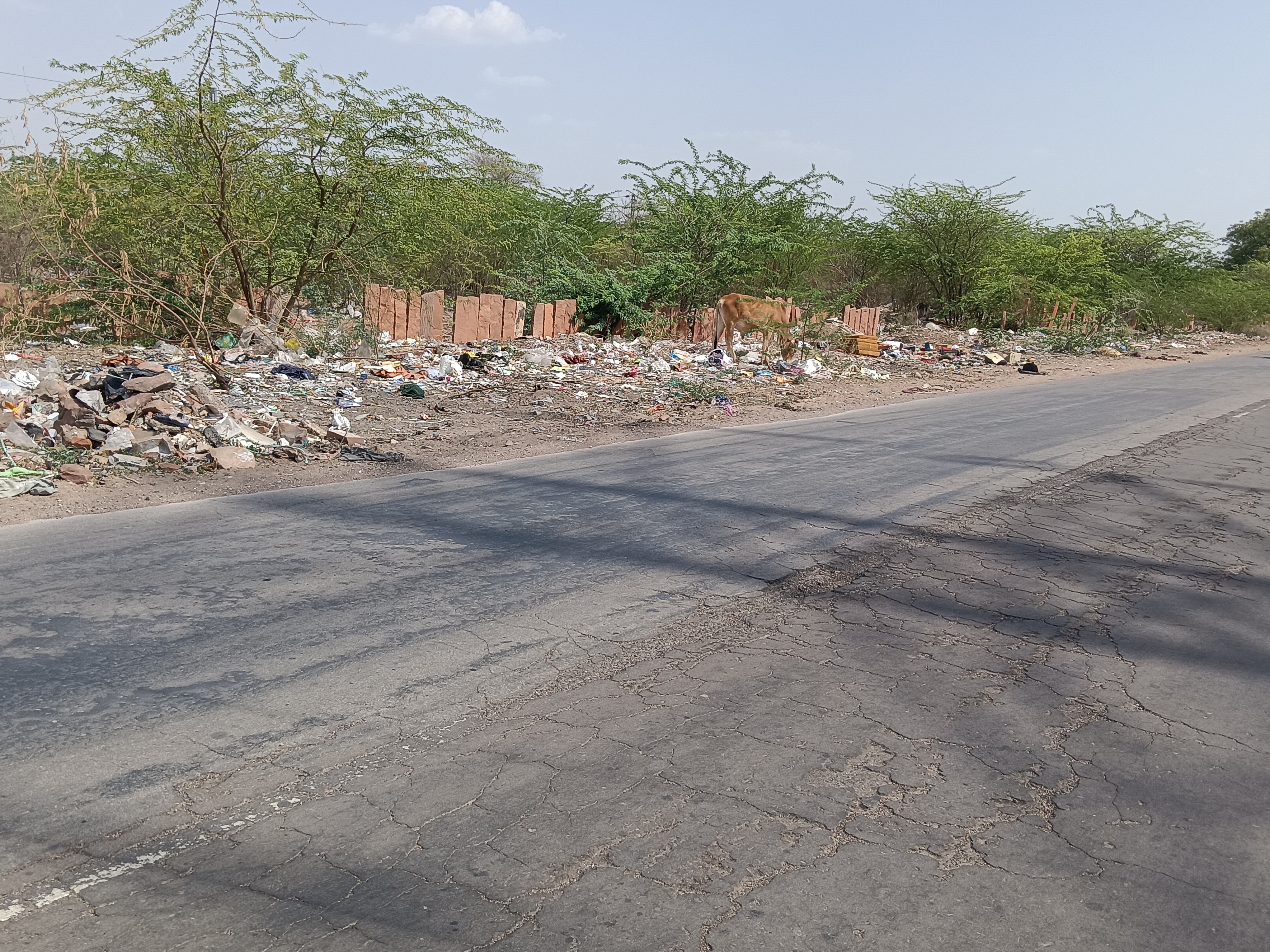 Mathaniya Mathania Garbage Crisis | Satellite Hospital Area Clogged