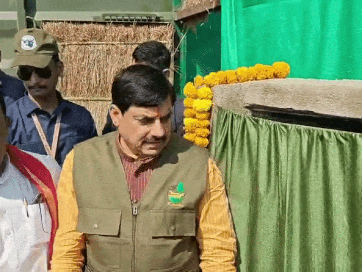 सीएम यादव ने कान्हा में 4 जंगली  भैंसे छोड़ी। - Dainik Bhaskar