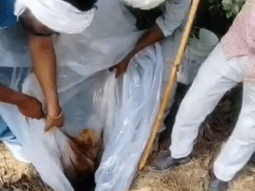 अवैध कच्ची शराब (लाहन)