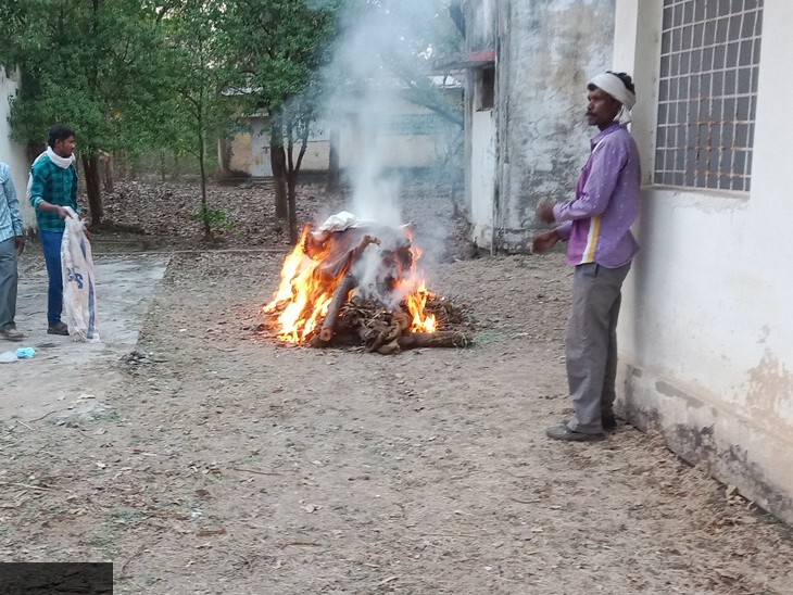 मृत शावकों का अंतिम संस्कार कर दिया गया है।