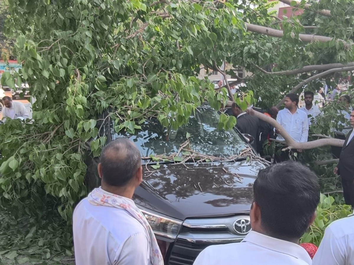 पेड़ के गिरने से निचे कार दब गई