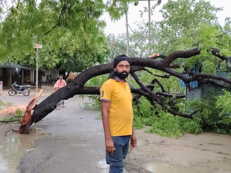 Guraini Neem Tree Fall Disrupts Traffic, Tin Sheds Damaged
