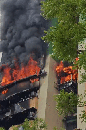 गाझियाबादमधील ग्रीन एव्हेन्यू सोसायटीच्या इमारतीला आग लागली. धुराचे लोट