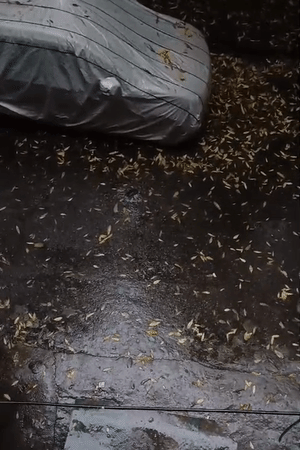 नोएडा, संभल और मथुरा में बुधवार सुबह आंधी चली। हल्की बारिश भी हुई।