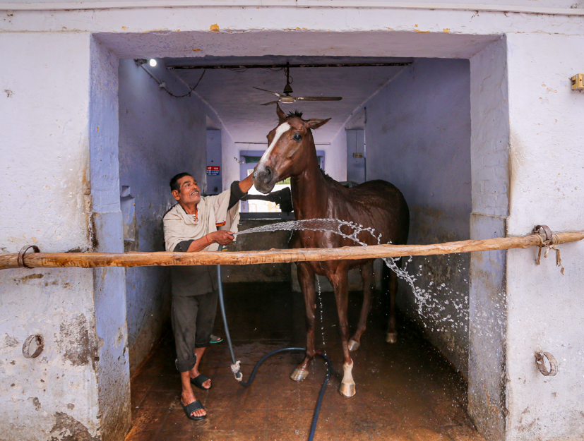प्रयागराज में बढ़ती गर्मी से राहत देने के लिए घोड़े को नहलाता एक शख्स।