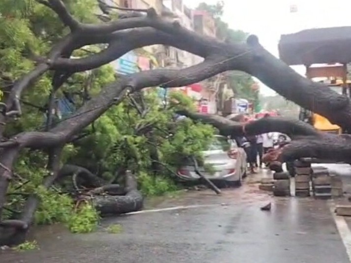 Moradabad Accident | Tree Fall Kills Mother, Injures Son