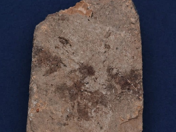 पुलिस ने घटना में उपयोग ईंट भी बरामद कर लिया है, जिस से नाबालिग ने अपने पिता को मार डाला।