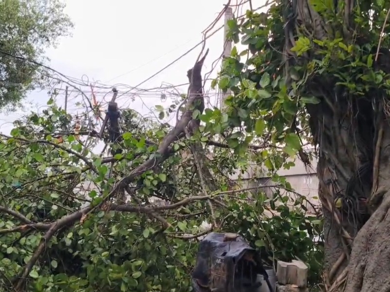 Mohania Storm Damages Shops, Power Outage Hits Life