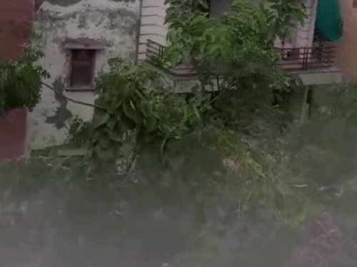 पलवल में बुधवार की सुबह तेज हवाओं के साथ बारिश हुई।