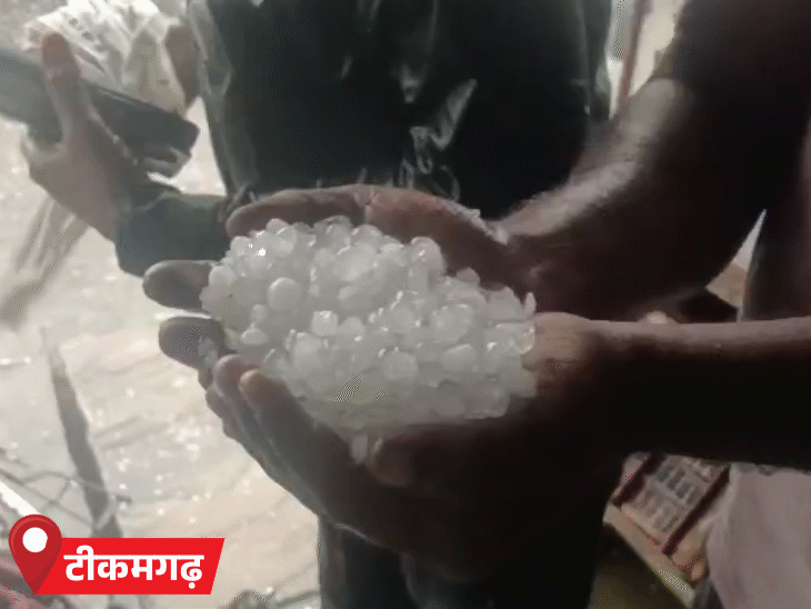 टीकमगढ़ में गुरुवार दोपहर को तेज बारिश के साथ ओले गिरे।