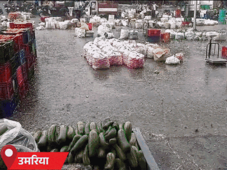 उमरिया में गुरुवार दोपहर को बारिश से बाजार में कई दुकानदारों का सामान भीग गया।